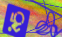 122x74