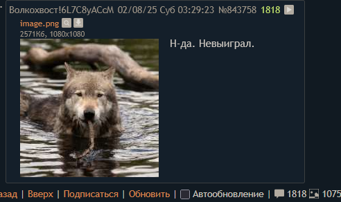 492x292
