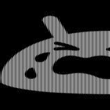 160x160