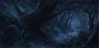 1000x491