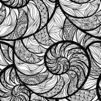 800x800