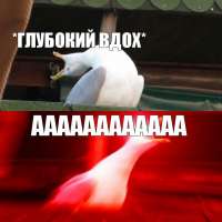 720x720