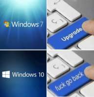 498x517