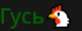 82x31