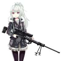 736x736