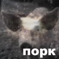 320x320
