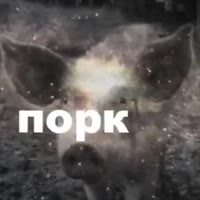320x320