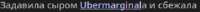 338x21