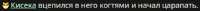 493x29