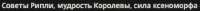 429x24