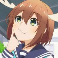 736x736