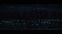 1280x720
