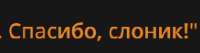 230x62