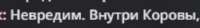 433x61