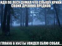 1080x809