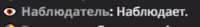 305x42