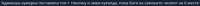 1005x31