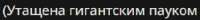 307x31