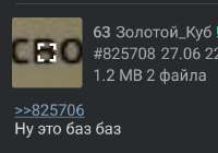 493x347