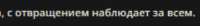 507x66