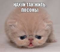 400x347