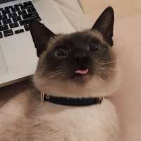 54