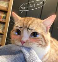 74