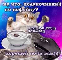 91