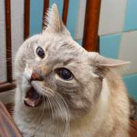 143