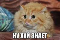 284x190