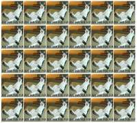 524x472