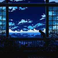 1250x1250