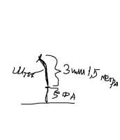 521x604