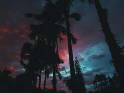 1080x810