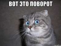 604x453