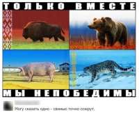 569x470