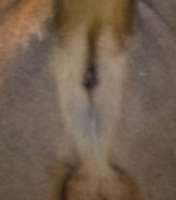 228x259