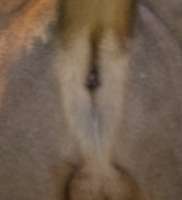 243x266