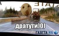 500x311
