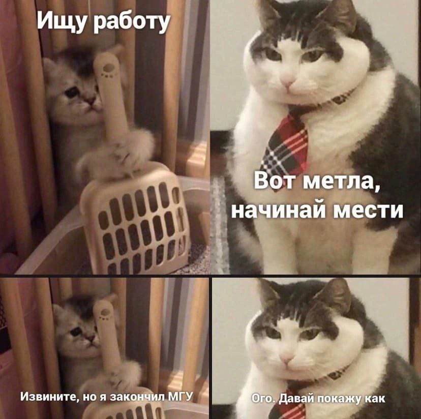 828x824