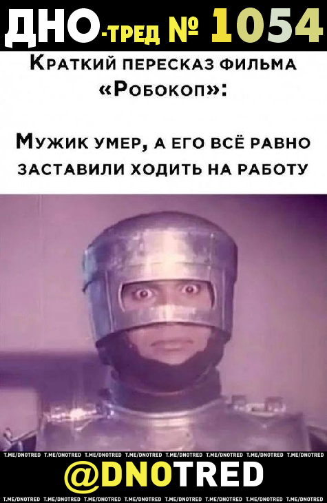 475x730