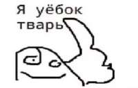 336x215