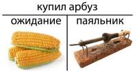 735x387