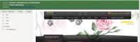 1491x449