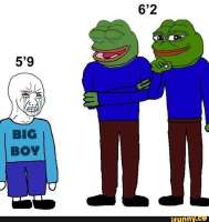 739x779