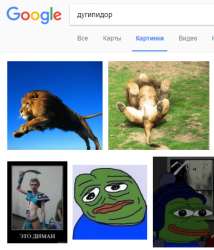 413x482