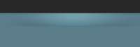1310x440