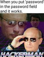 592x768