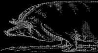 500x271