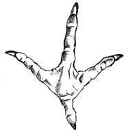 300x326